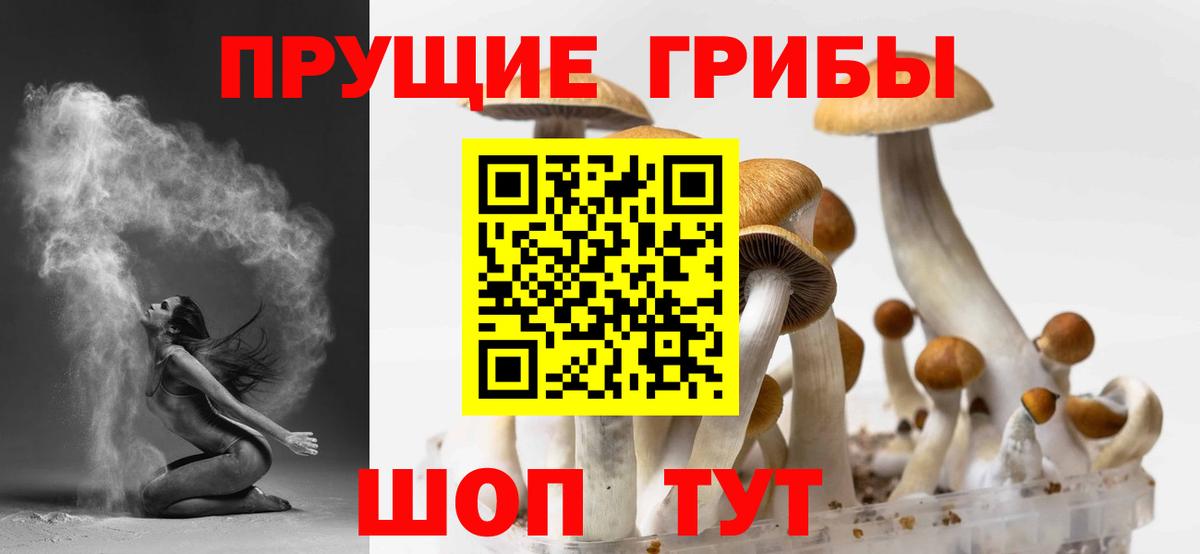 Псилоцибиновые грибы прущие грибы  Псилоцибиновые грибы прущие грибы  Новый Уренгой  купить закладку  Вход с VPN 